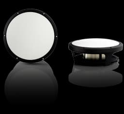 Accuton ASP250 loudspeaker driver