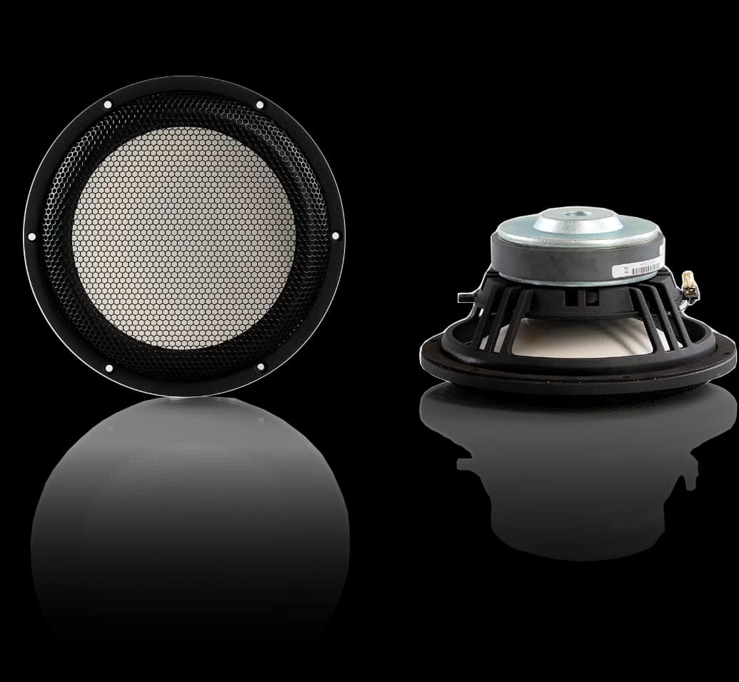 Accuton S220-6-221 8 inch 6 ohm loudspeaker driver view 1
