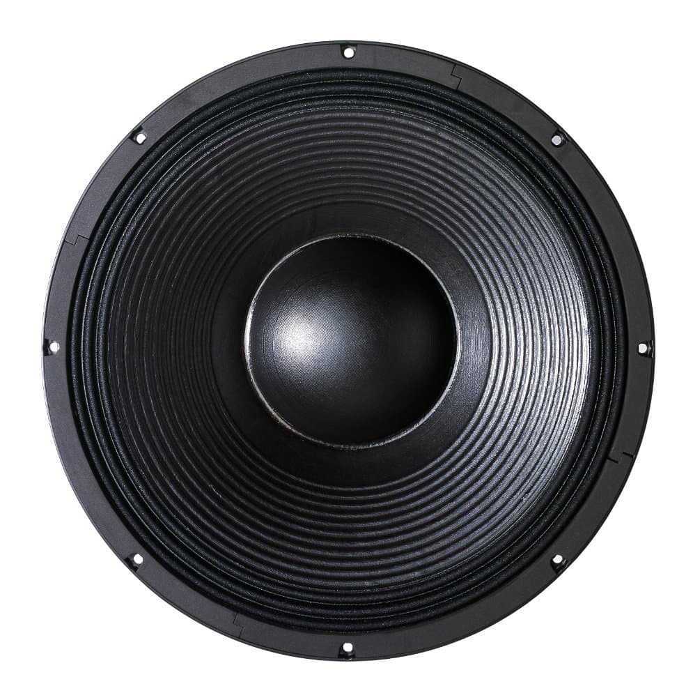 B&C 21DS115 21 inch 8 ohm loudspeaker driver view 2