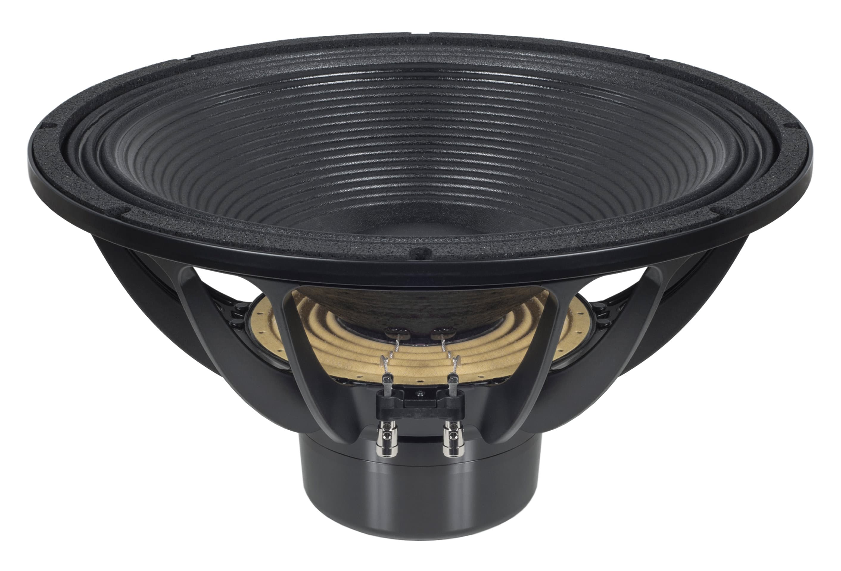 B&C 18DS100 18 inch 4 ohm loudspeaker driver view 3