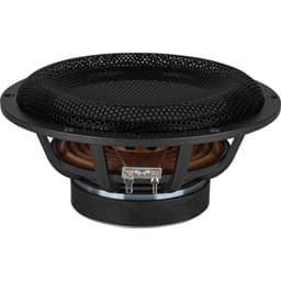 Fountek FW222 8 Ohm loudspeaker driver