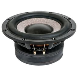 CIARE HSG200 2 Ohm loudspeaker driver