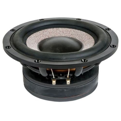 CIARE HSG200 8 inch 2 ohm loudspeaker driver similar driver