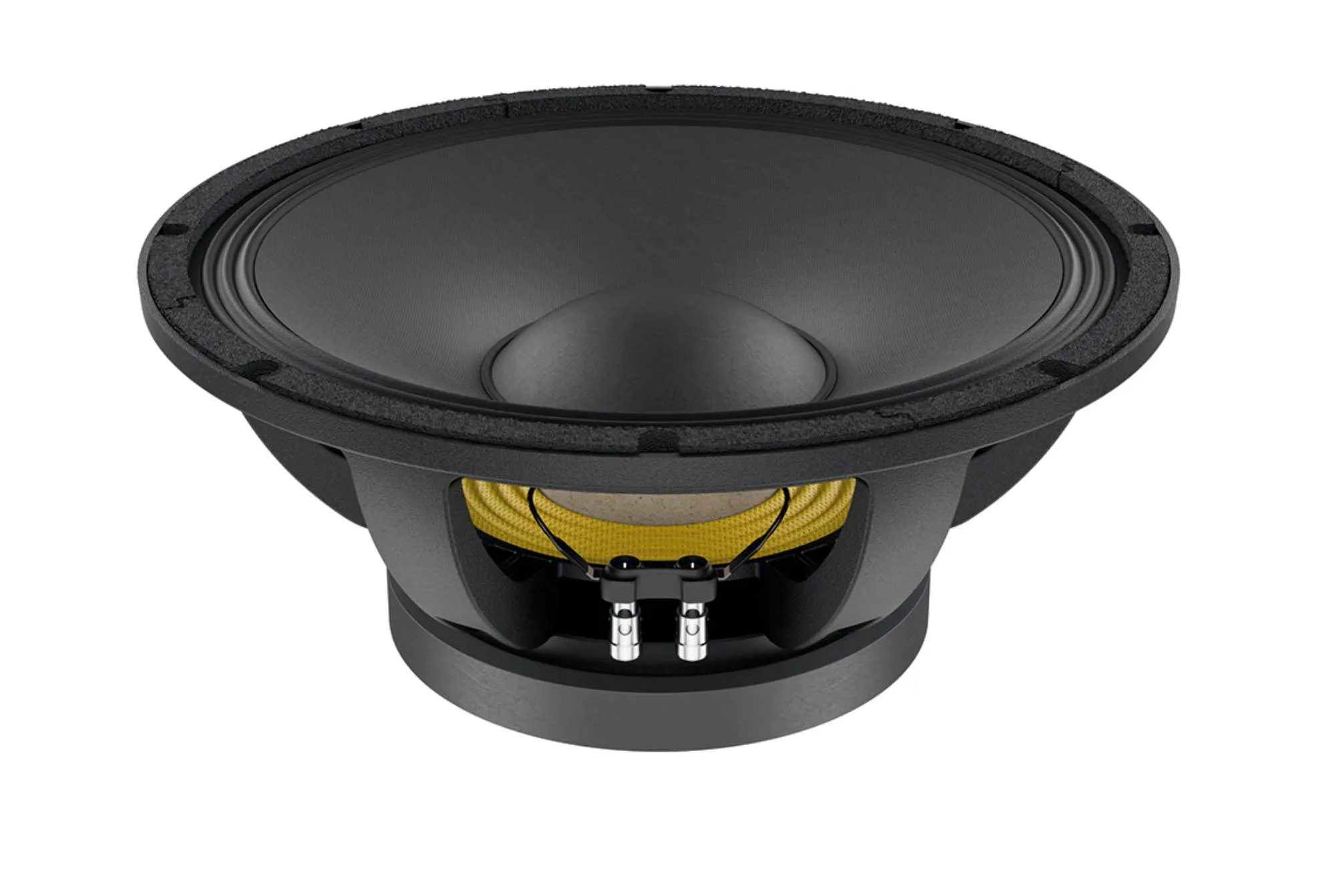 Lavoce WAF154.03 15 inch 8 ohm loudspeaker driver view 1
