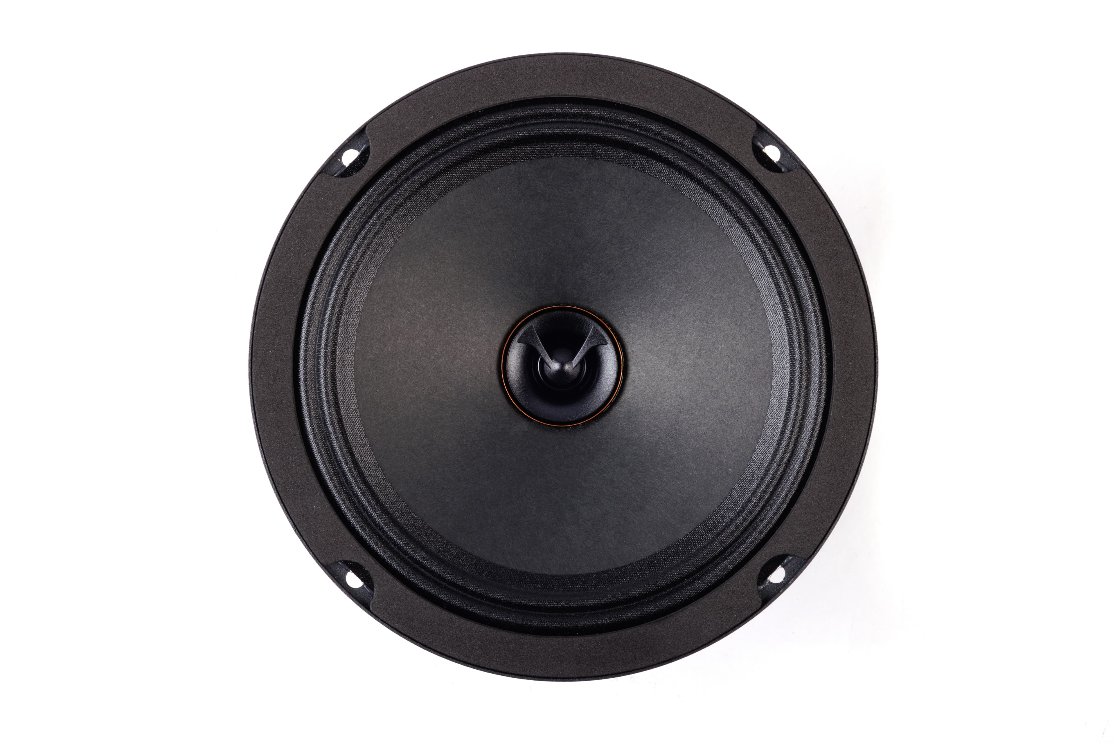 Lavoce CSF061.21 6.5 inch 8 ohm loudspeaker driver view 3