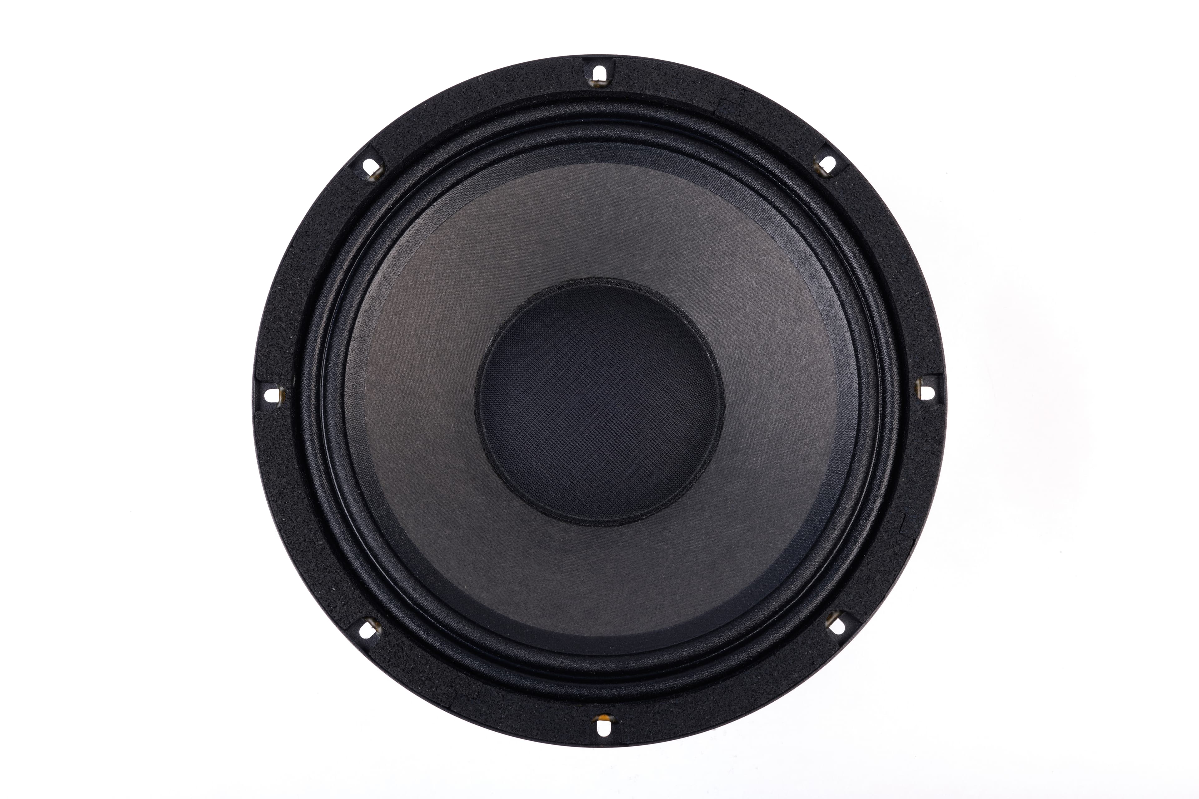 Lavoce CSF102.50K 10 inch 8 ohm loudspeaker driver view 4