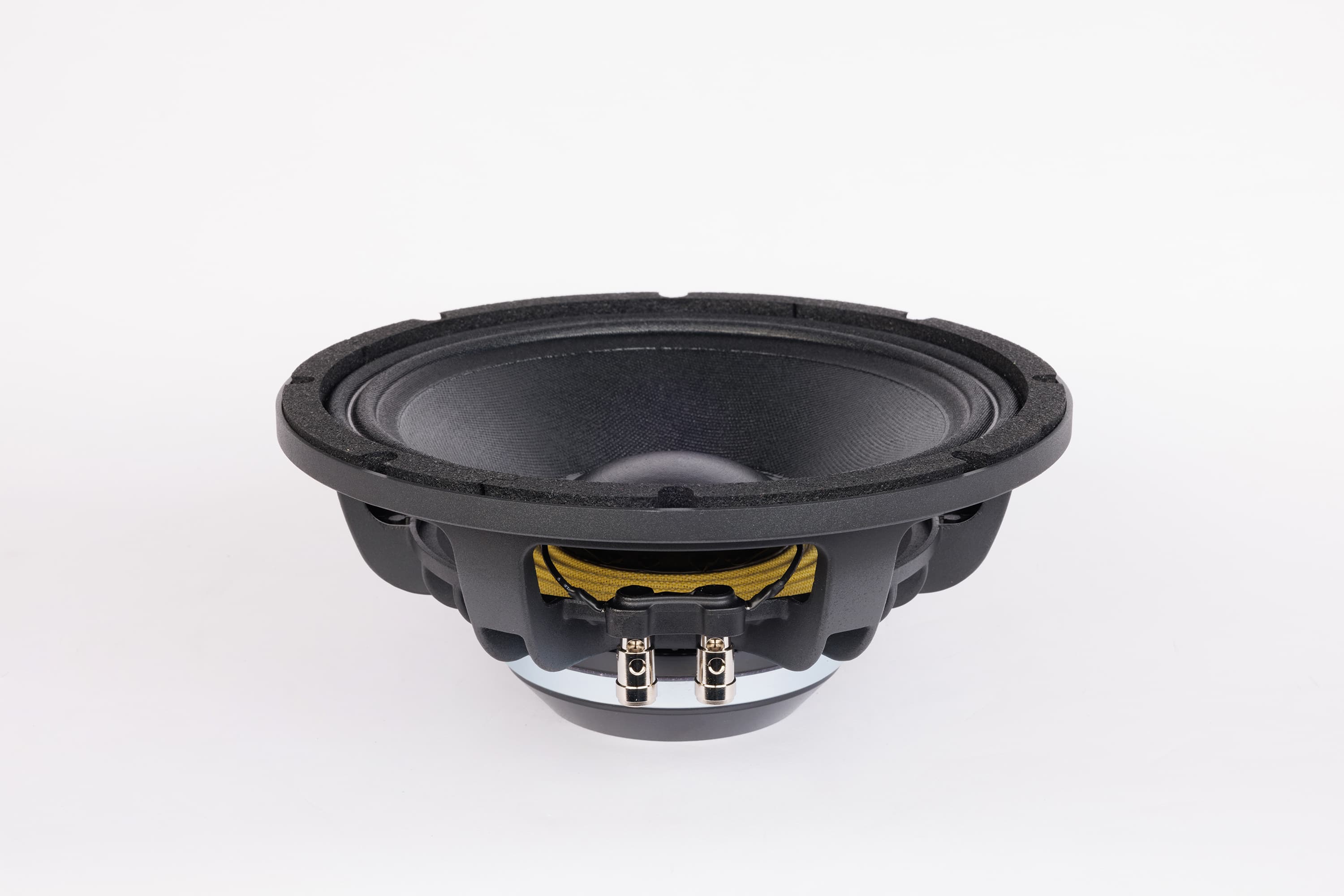 Lavoce WAN103.01 10 inch 8 ohm loudspeaker driver view 2
