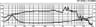 Monacor SP-252E 10 inch 4 ohm loudspeaker driver thumbnail view 2