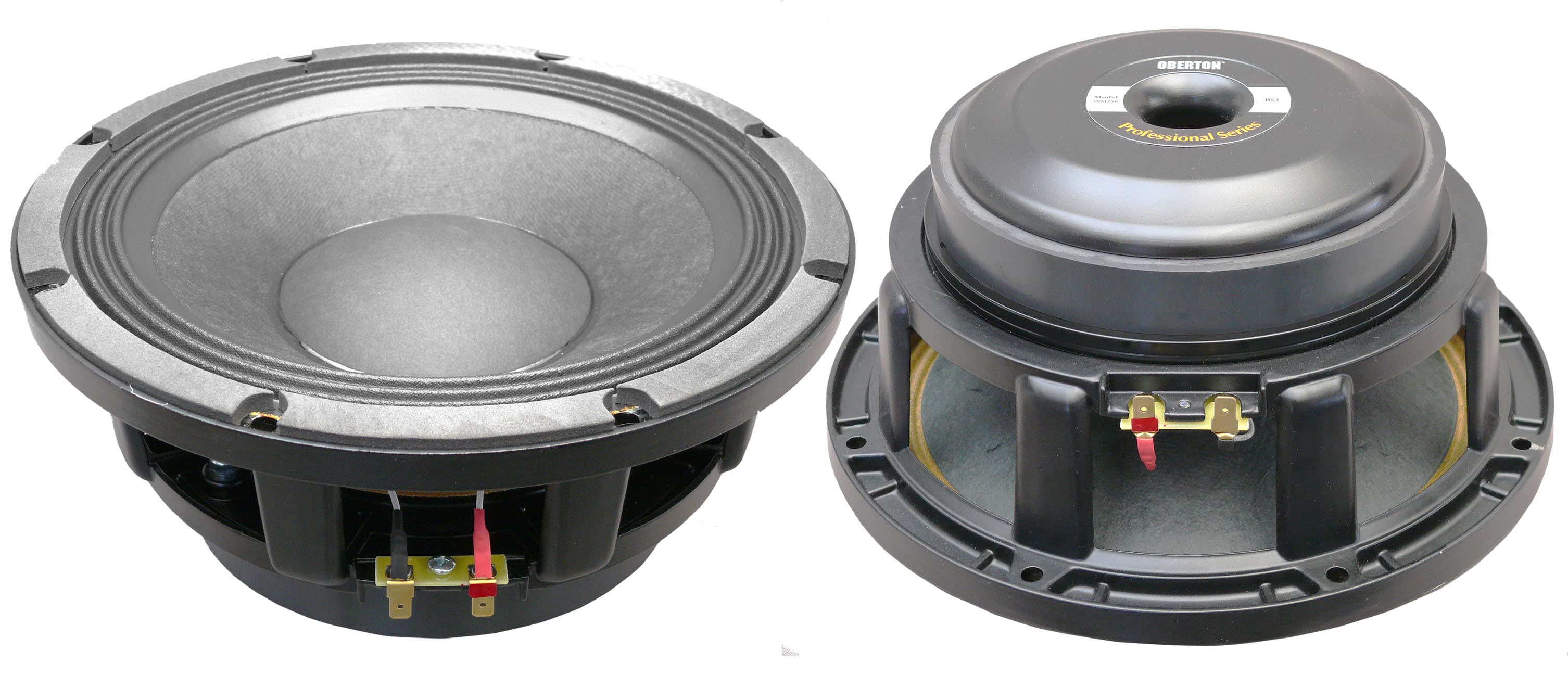 Oberton 10M250 10 inch 8 ohm loudspeaker driver similar driver