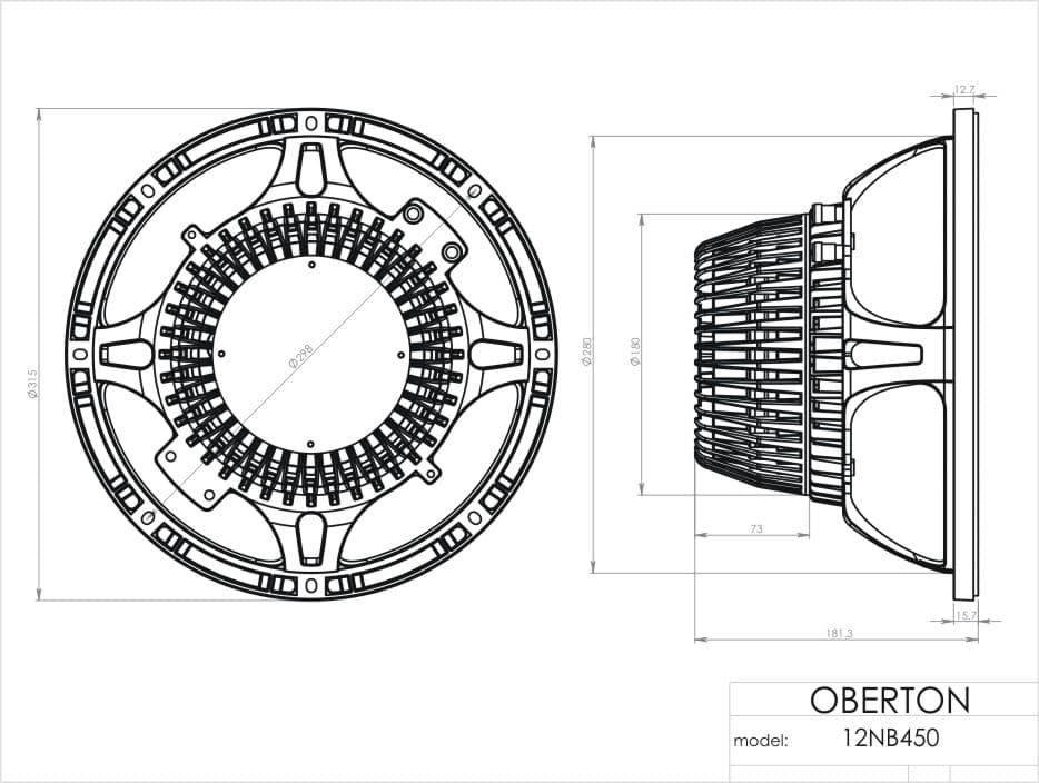 Oberton 12NB450 12 inch 8 ohm loudspeaker driver view 3