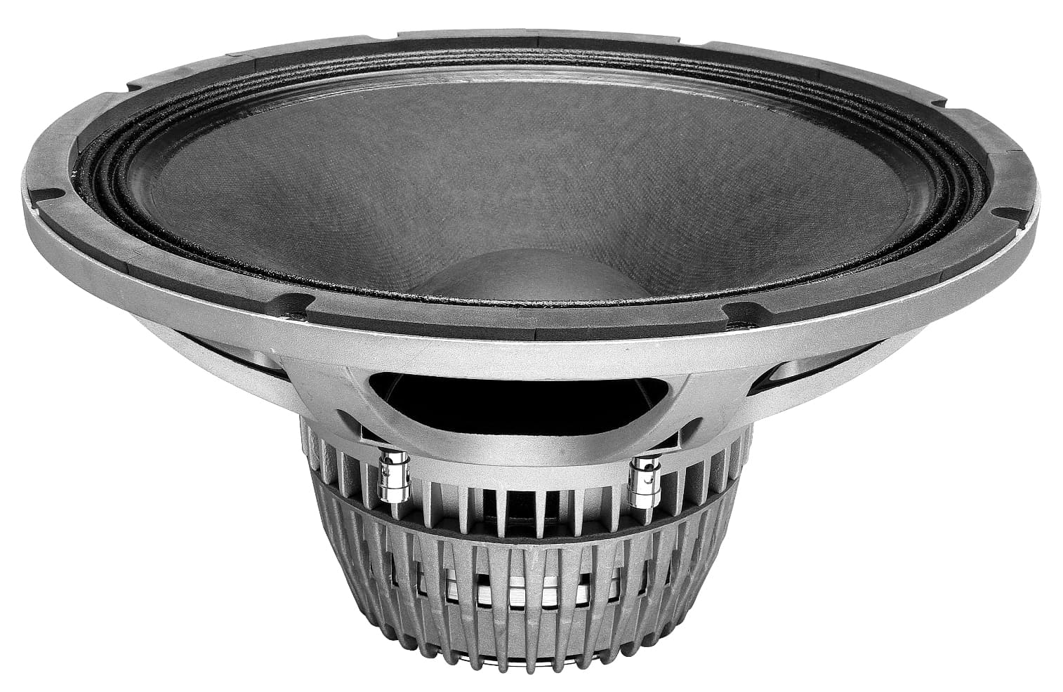 Oberton 15NMB600 15 inch 8 ohm loudspeaker driver similar driver