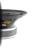 Sica 8 D 1.5 CS 8 inch 8 ohm loudspeaker driver thumbnail view 2