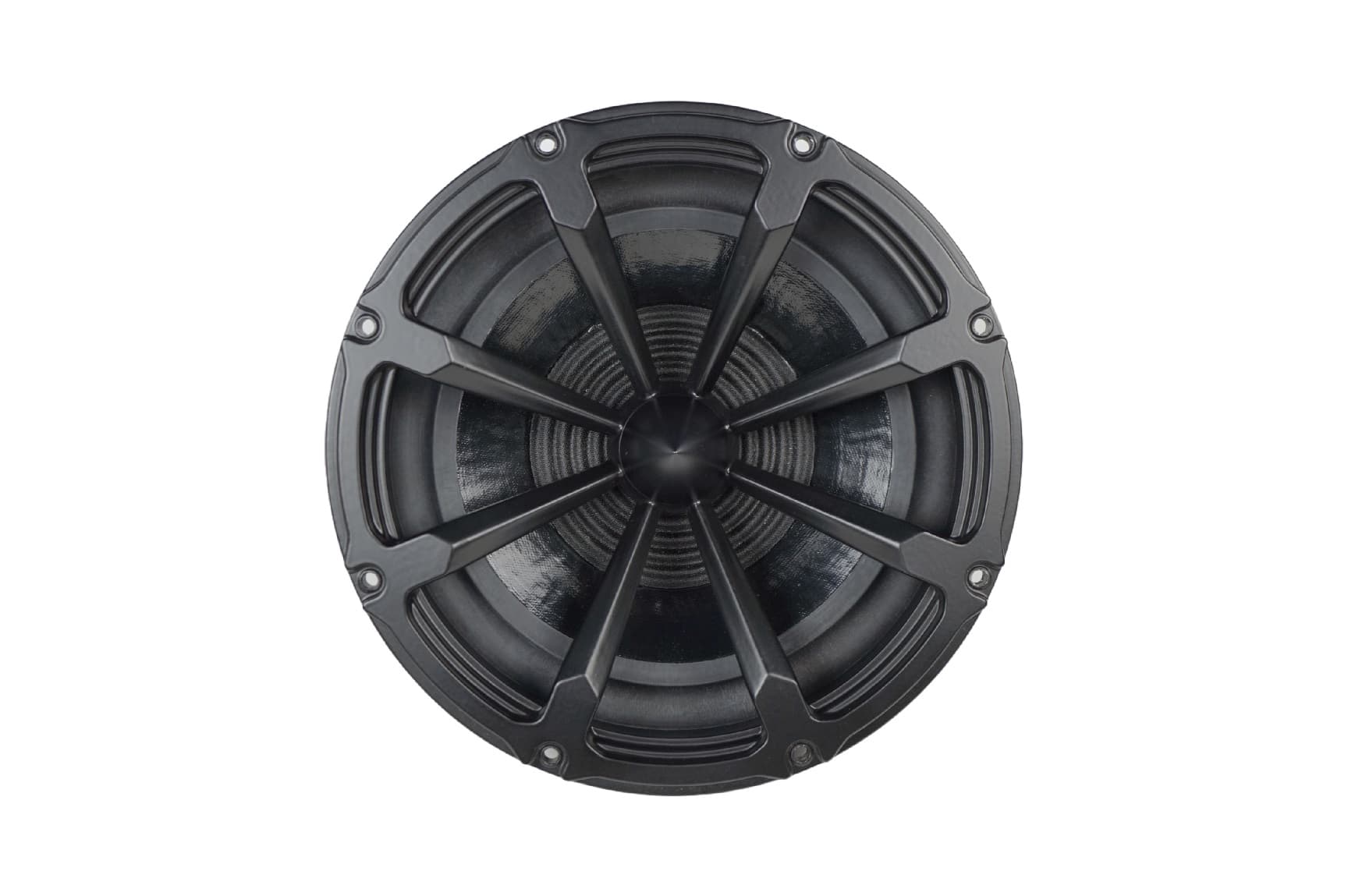 Volt RV2550 10 inch 8 ohm loudspeaker driver view 3