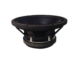 BMS 12S310 12 inch 8 ohm loudspeaker driver view 2