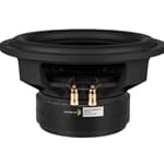 Dayton Audio RSS265HO-4 10 inch 4 ohm loudspeaker driver view 2