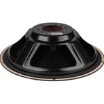 Dayton Audio DSA315-PR 12 inch loudspeaker driver view 3
