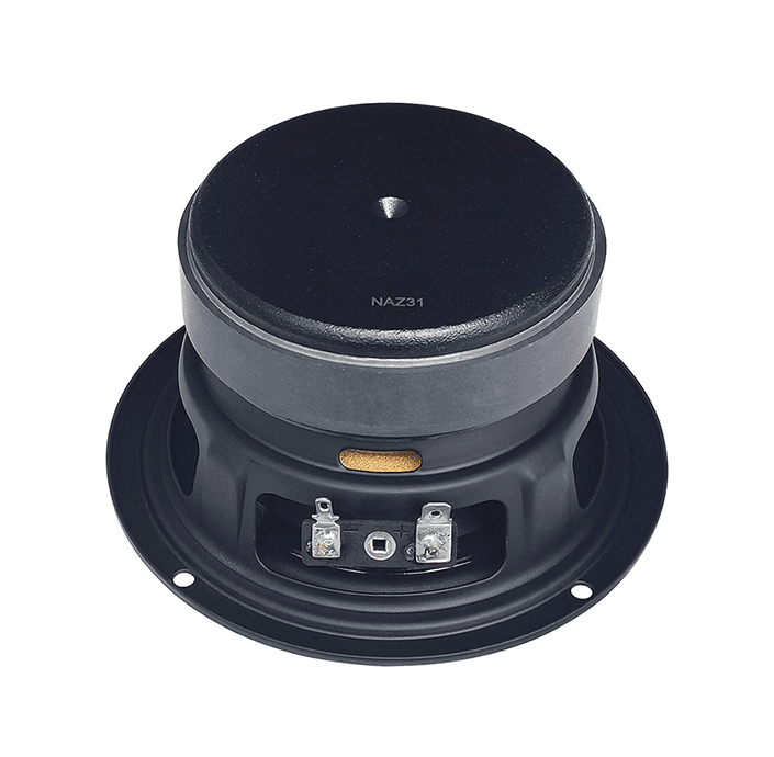 Tang Band W4-1052SDF 4 inch 4 ohm loudspeaker driver view 2