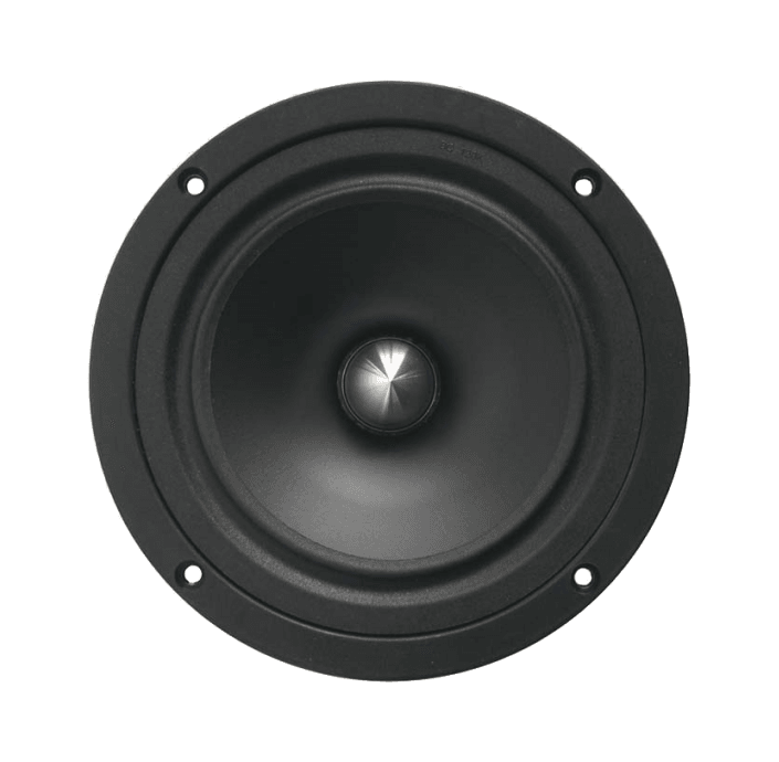 Tang Band W5-1611SA 5 inch 8 ohm loudspeaker driver view 2