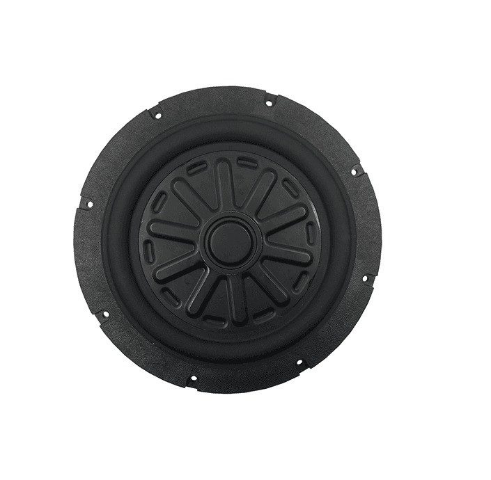 Tang Band W8-2282 8 inch 4 ohm loudspeaker driver similar driver