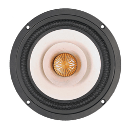 Tang Band W6-1916 8 Ohm loudspeaker driver