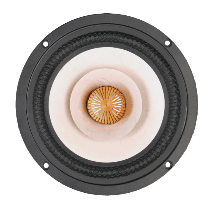 Tang Band W6-1916 6 inch 8 ohm loudspeaker driver similar driver