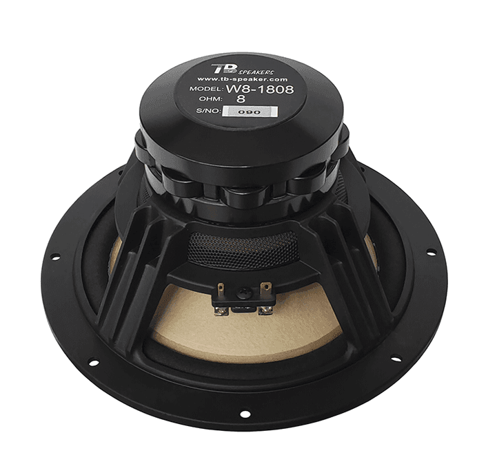 Tang Band W8-1808 8 inch 8 ohm loudspeaker driver view 2