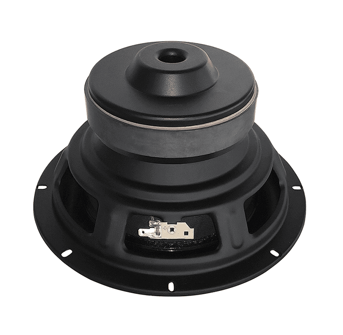 Tang Band W8-670Q 8 inch 8 ohm loudspeaker driver view 2