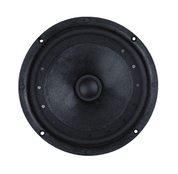 Tang Band W6-2090 2 Ohm loudspeaker driver