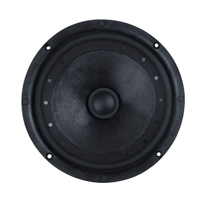 Tang Band W6-2090 6 inch 2 ohm loudspeaker driver similar driver