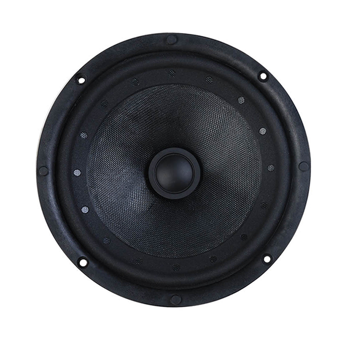Tang Band W6-2090 6 inch 2 ohm loudspeaker driver thumbnail view 1