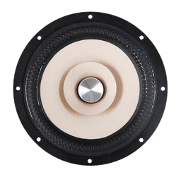 Tang Band W8-2145 8 Ohm loudspeaker driver