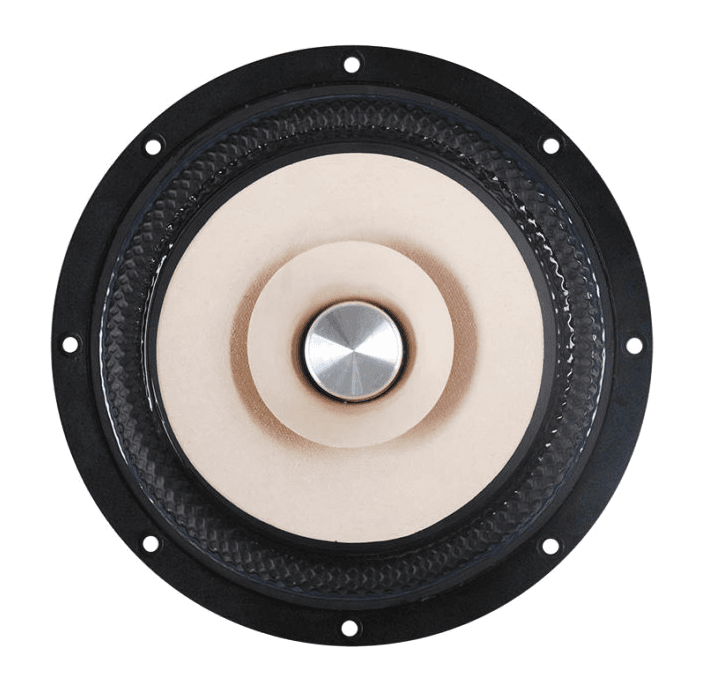 Tang Band W8-2145 8 inch 8 ohm loudspeaker driver view 1