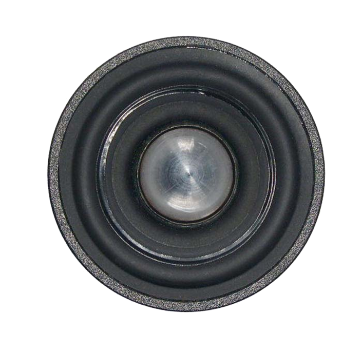 Tang Band W2-780SD 2 inch 8 ohm loudspeaker driver similar driver