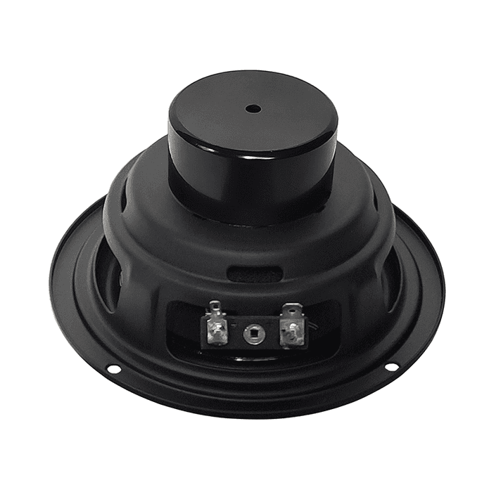 Tang Band W4-1052SD 4 inch 4 ohm loudspeaker driver view 2