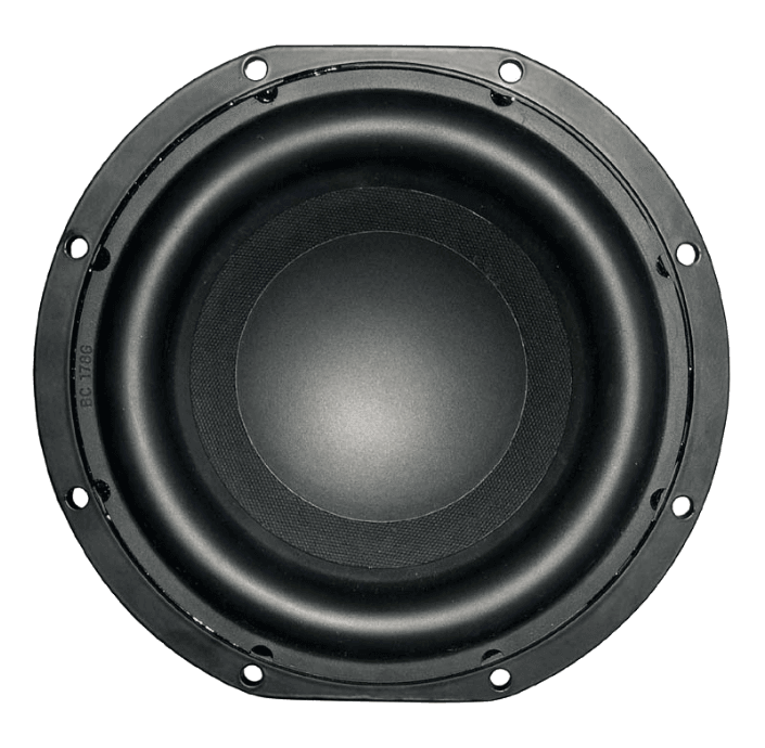 Tang Band W8-740M 8 inch 4 ohm loudspeaker driver view 2