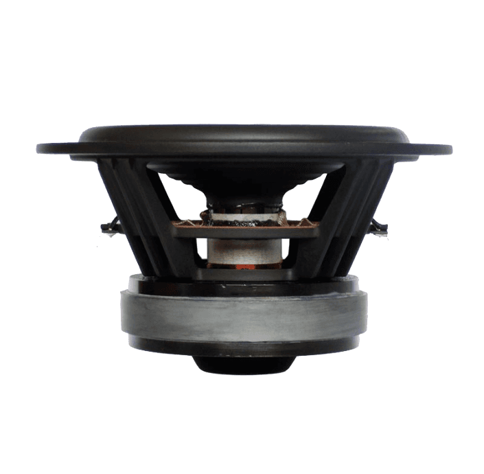 Tang Band W8-1747A 8 inch 4 ohm loudspeaker driver view 2
