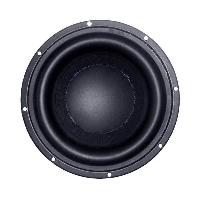 Tang Band W8-1363SB 8 inch 3.2 ohm loudspeaker driver view 2