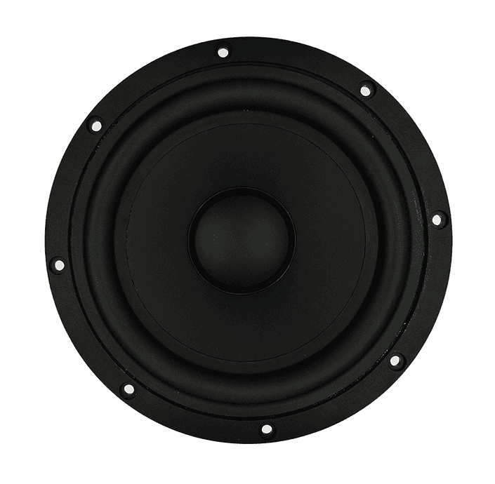 Tang Band W8-2096B 8 inch 4 ohm loudspeaker driver similar driver