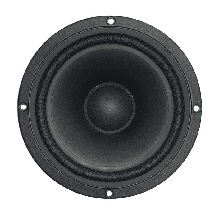Tang Band W6-789E 6 inch 8 ohm loudspeaker driver similar driver