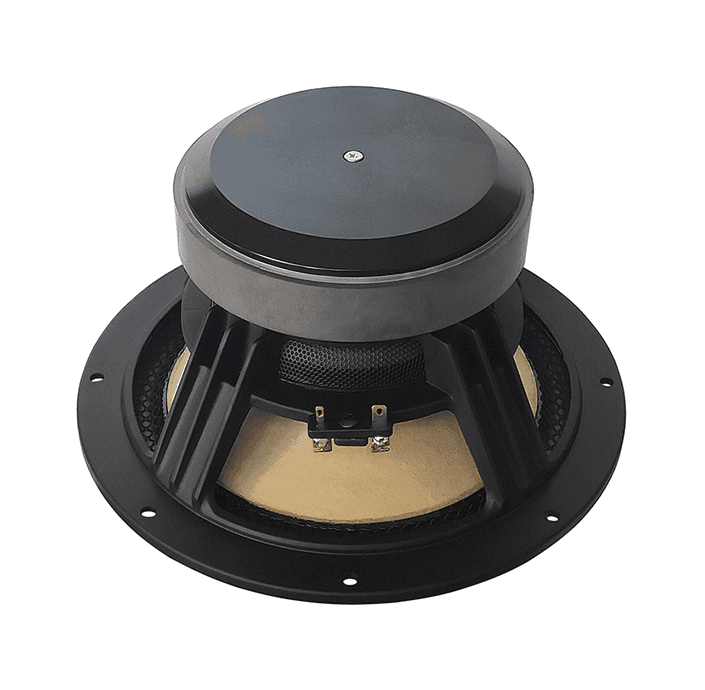 Tang Band W8-2145 8 inch 8 ohm loudspeaker driver view 2