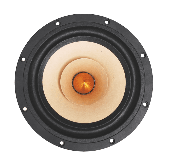 Tang Band W8-1772 8 inch 8 ohm loudspeaker driver similar driver