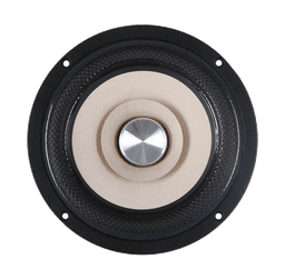 Tang Band W6-2144 8 Ohm loudspeaker driver