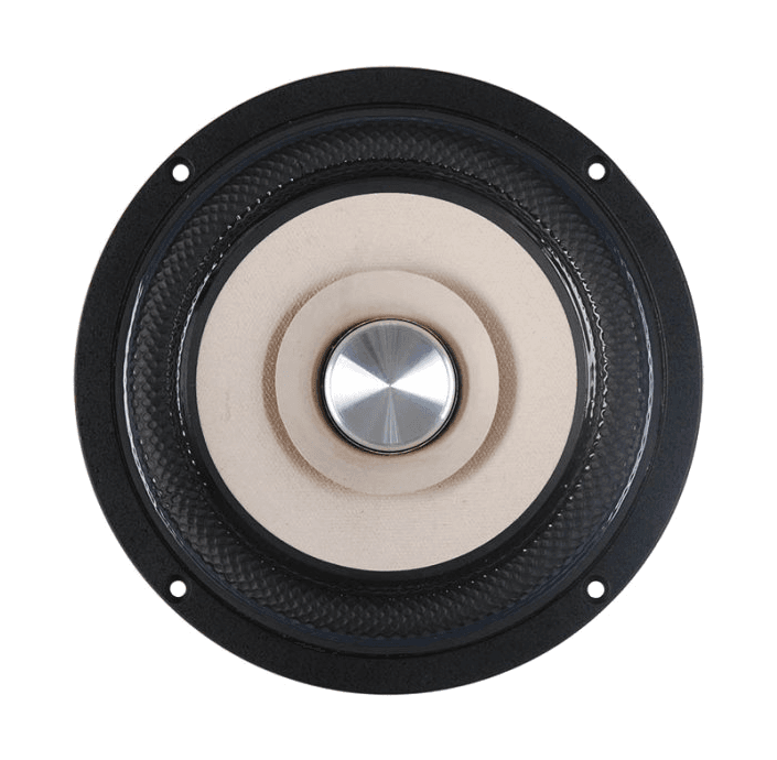 Tang Band W6-2144 6 inch 8 ohm loudspeaker driver similar driver