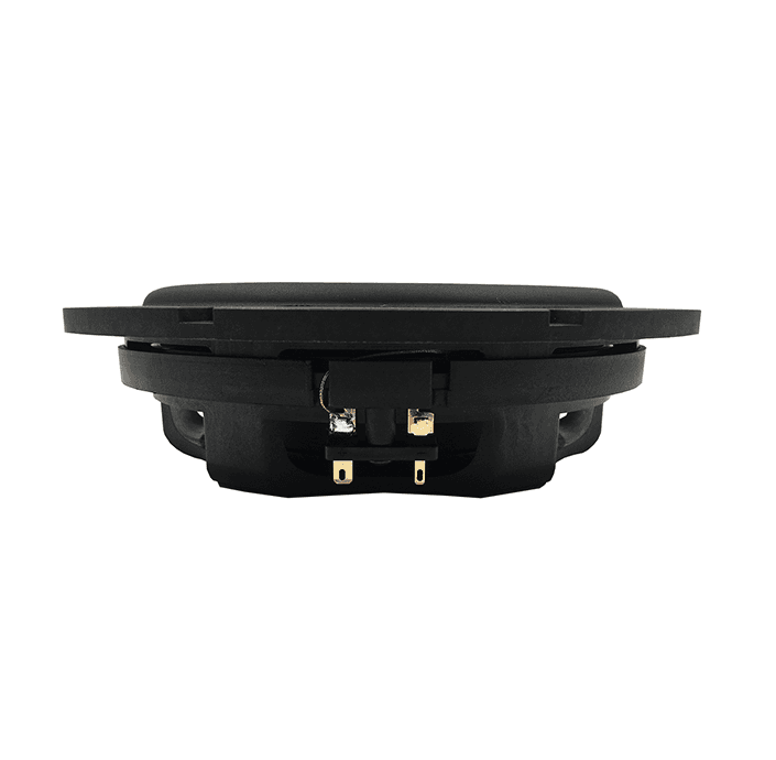 Tang Band W8-2282 8 inch 4 ohm loudspeaker driver view 2