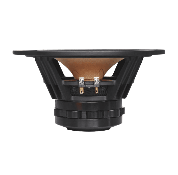 Tang Band W8-1808 8 inch 8 ohm loudspeaker driver view 3