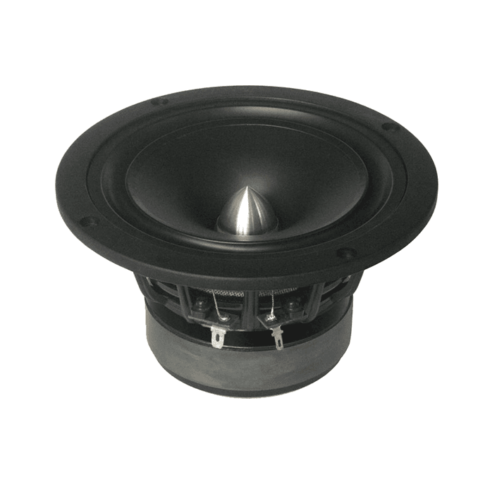 Tang Band W5-1880 5 inch 6.3 ohm loudspeaker driver view 6