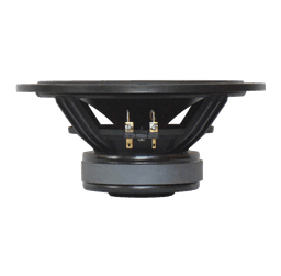 Tang Band W8-750C 8 Ohm loudspeaker driver