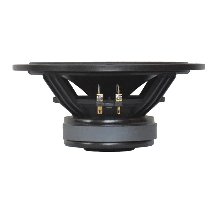Tang Band W8-750C 8 inch 8 ohm loudspeaker driver similar driver