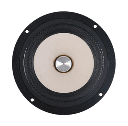 Tang Band W5-2143 8 Ohm loudspeaker driver
