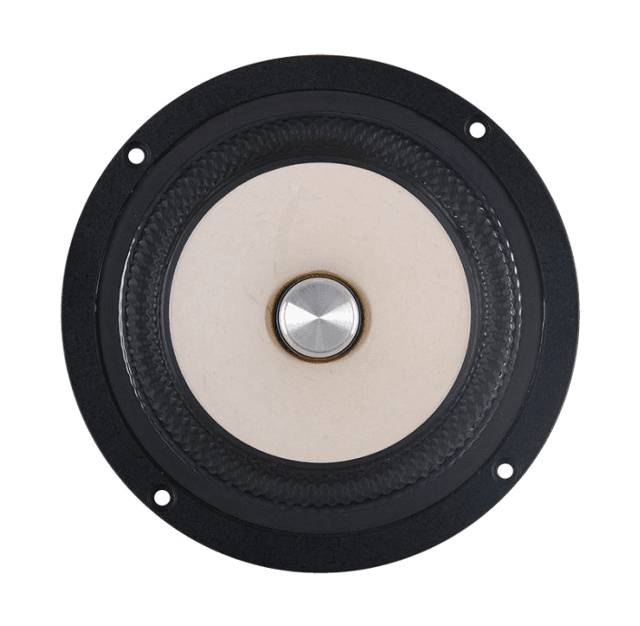 Tang Band W5-2143 5 inch 8 ohm loudspeaker driver similar driver
